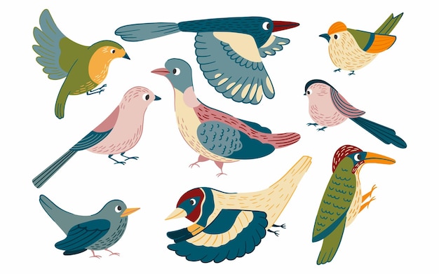 Vector vogels instellen vectorillustratie in cartoon-stijl