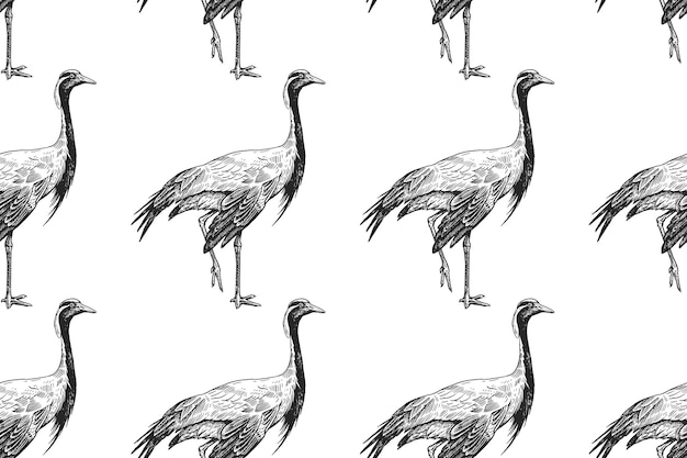 Vogels kraanvogels naadloos patroon zwart en wit