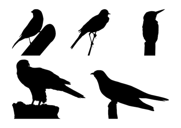 Vogels op tak silhouet