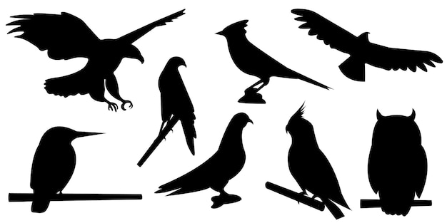 Vogels silhouet set