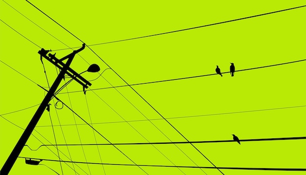 vogels staan op elektriciteitslijn silhouet