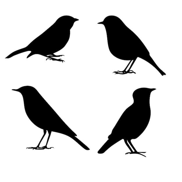 Vogelsilhouetten