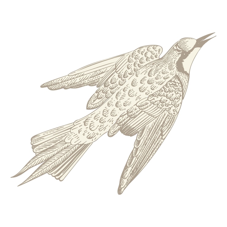 Vector vogelvinatge vector