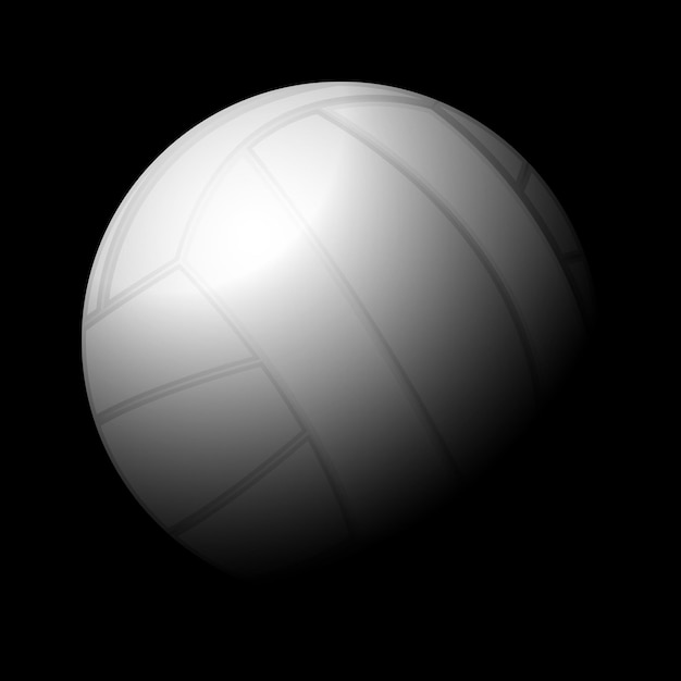 Volleyball ball black