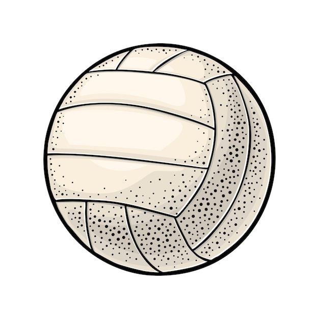 Vettore palla da pallavolo illustrazione vettoriale a colori con incisione vintage isolata su sfondo bianco elemento di design disegnato a mano per etichetta e poster