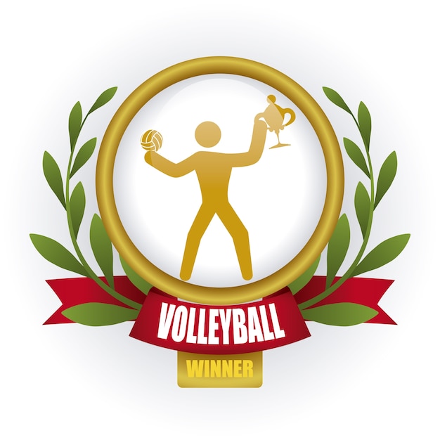 volleyball design over white background vector illustration