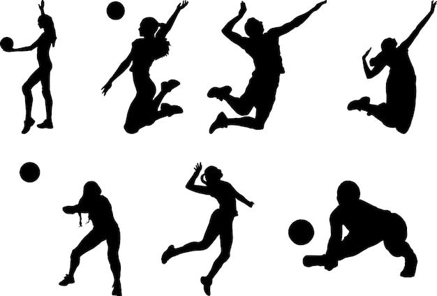 Vector volleyball sports silhouette vector