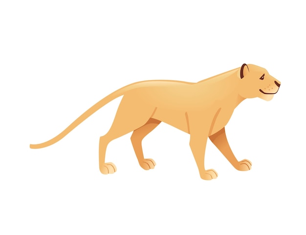 Volwassen leeuwin Afrikaanse wilde roofzuchtige kat vrouwelijke leeuw cartoon schattige dieren ontwerp platte vectorillustratie geïsoleerd op een witte achtergrond