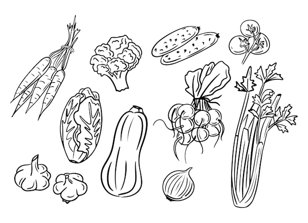 Voorjaarsgroenten met de hand getekende geïsoleerde doodle set