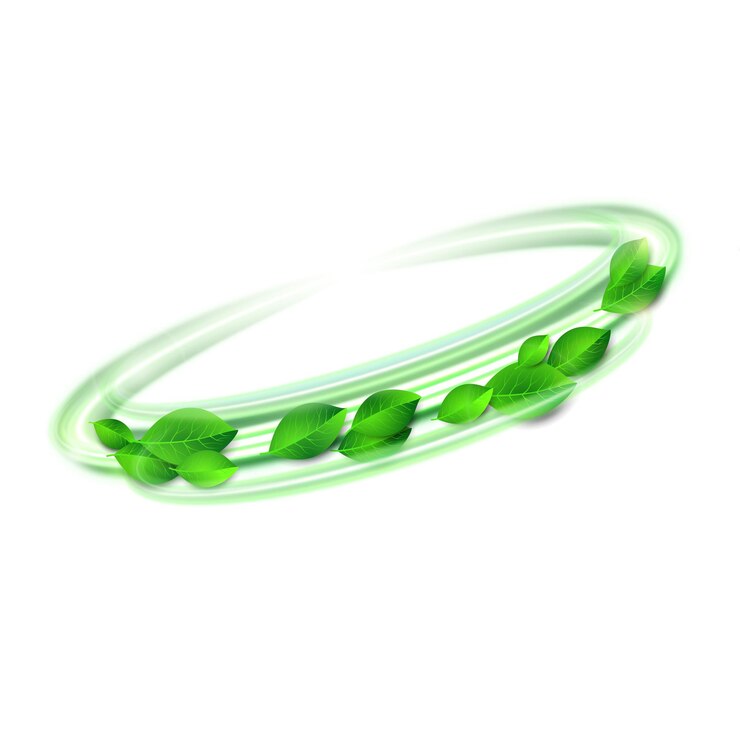 Vector vortex with fresh leaves orbital magical lines on white background green abstract swoosh swirl