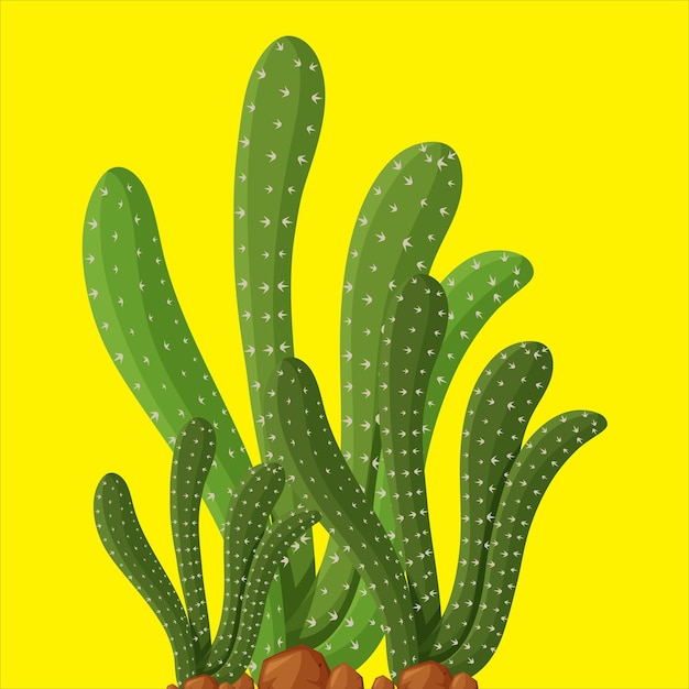 Vreemde cactus 02