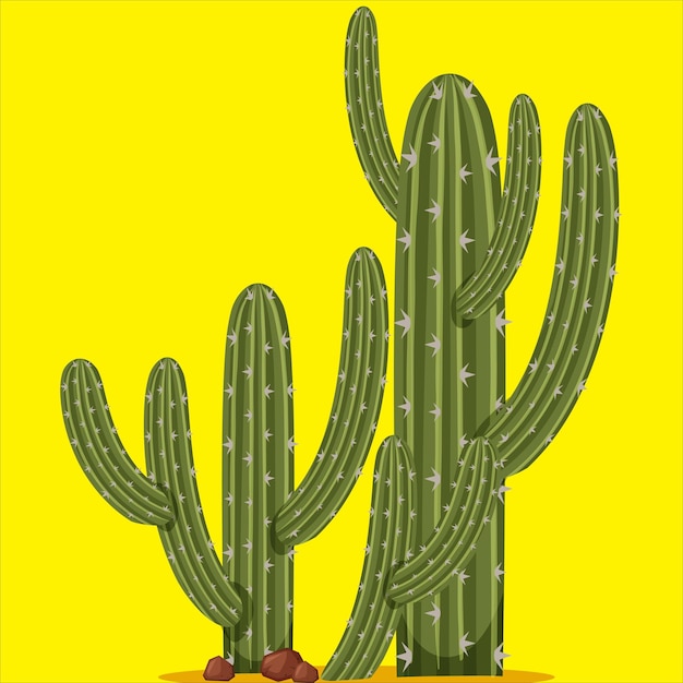 Vreemde cactus 04