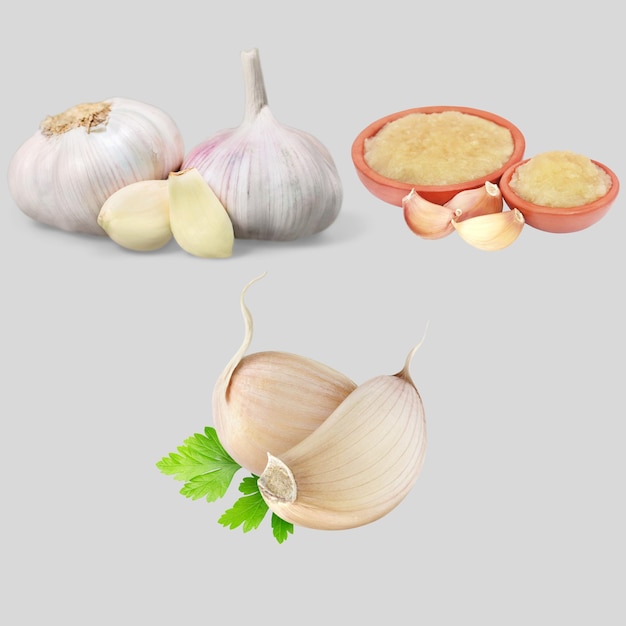 Vrij vector realistische knoflook geïsoleerd