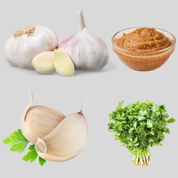 Vrije vector realistische knoflook illustratie