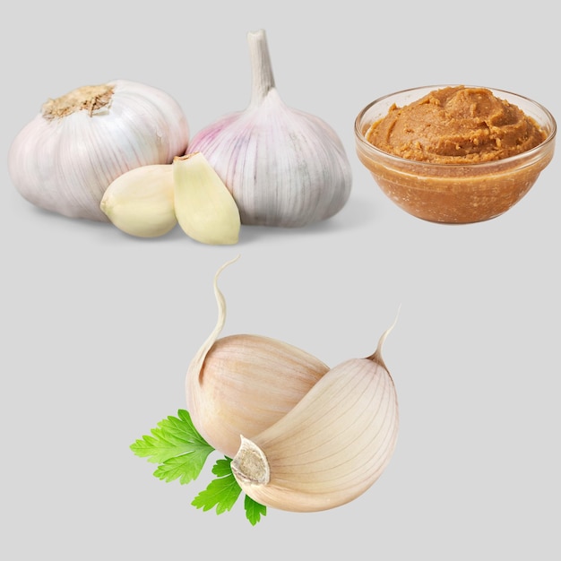 Vrije vector realistische knoflook illustratie