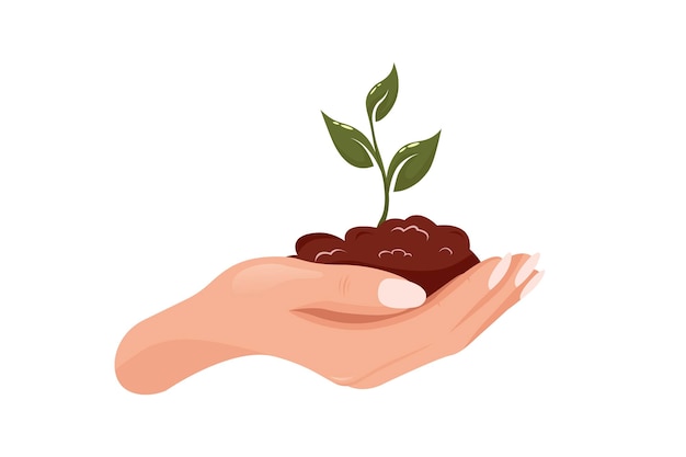 Vrouwelijke hand met een spruitje Plant een boom Hand die een plant geeft Aardedag Milieu