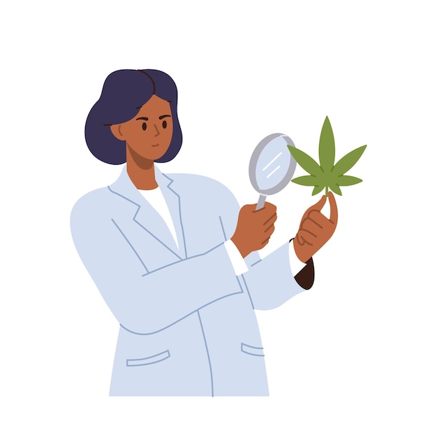 Vrouwelijke wetenschapper arts die cannabis medisch marihuana plantblad bestudeert en door vergrootglas kijkt