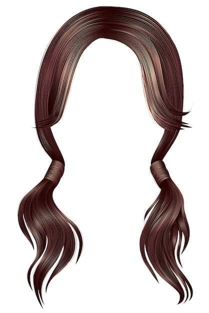Vector vrouwen haren brunette twee pigtails.