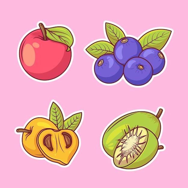 Vruchten sticker hand getrokken kleuren vector pictogram illustratie voedsel natuur pictogram concept geïsoleerd