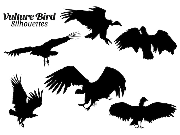 Vector vulture bird silhouettes vector illustration set