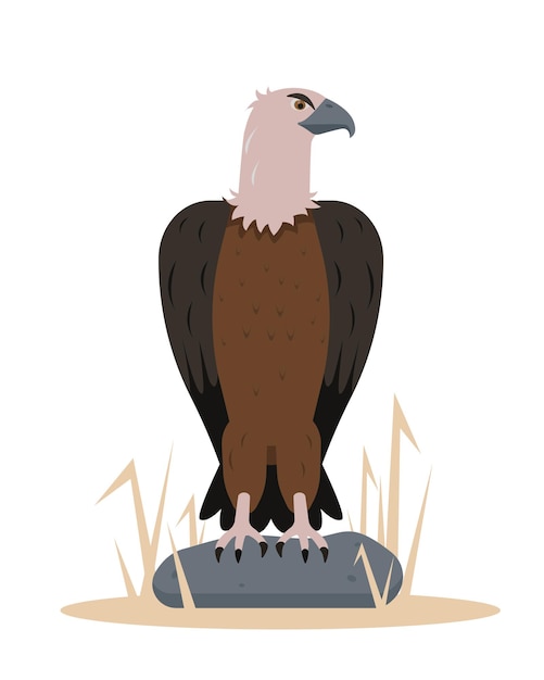 Vector vulture bird sitting on stone nature birdwatching and ornithology design