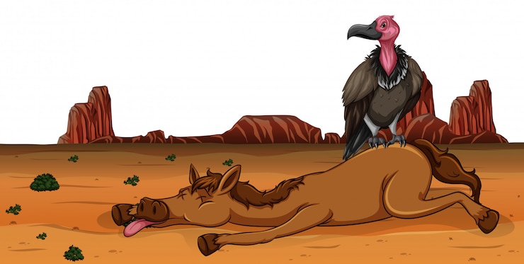 Vector a vulture on dead horse