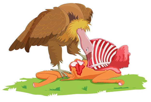 vulture eating meat