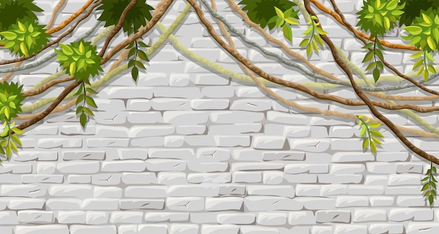 Vettore parete rami liana edera vecchia casa squallida facciata dipinta in stucco bianco
