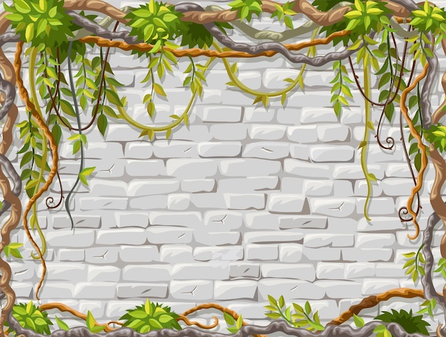 壁の枝つる植物古いぼろぼろの家のファサードは白い漆喰で塗られました