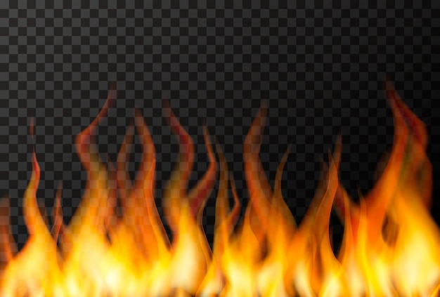 Vector wall of bright fire flame on transparent