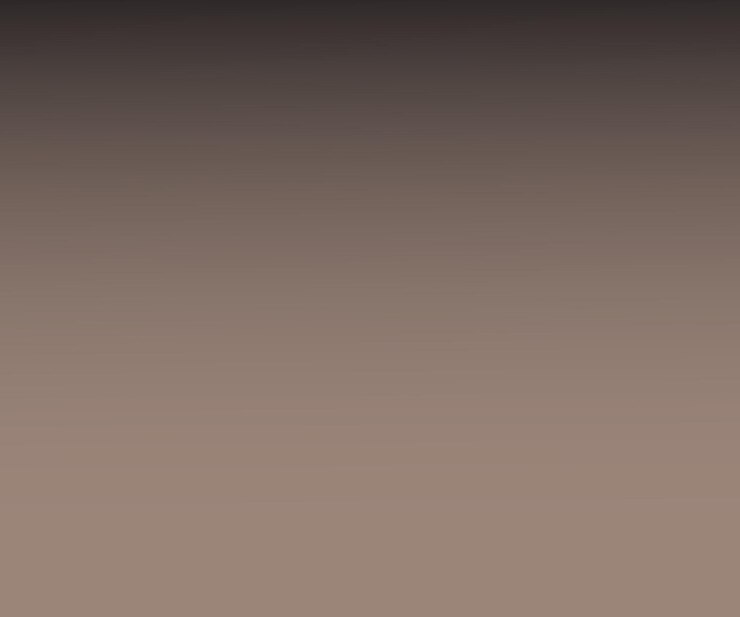 Vector a wall with a brown background