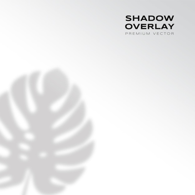 Wall with leaves shadow overlay premium vector