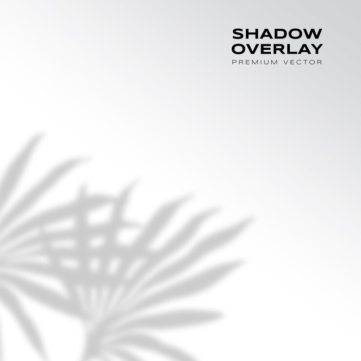 Vector wall with leaves shadow overlay premium vector