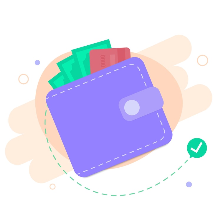 Vector wallet leather wallet and dollars with credit card icon flat cartoon style vector