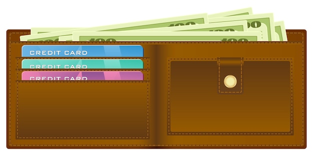 Vector wallet with money