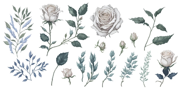 Wallpaper Template White Roses in Full Bloom