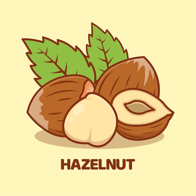 Walnut cartoon vector icon illustration isolated