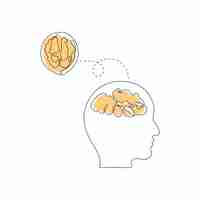 Вектор Грецкий орех-здоровая пища для сильного мозга. концепция питания. одна линия искусства. ручная рисованная векторная иллюстрация