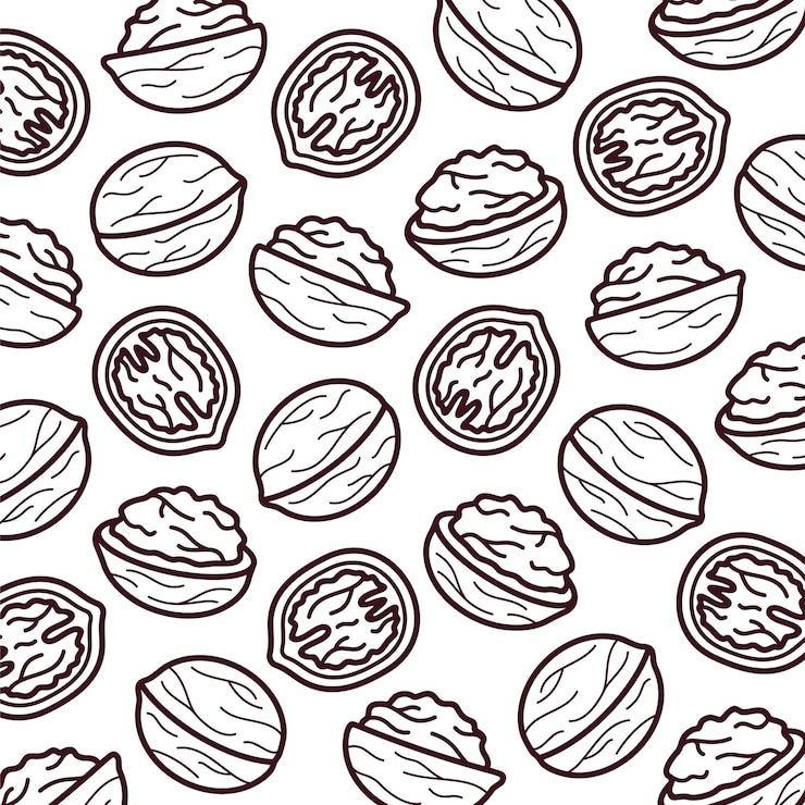 Vector walnut pattern background set. collection icon walnut. vector