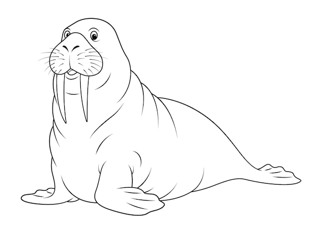 Vector walrus cartoon animal illustration bw