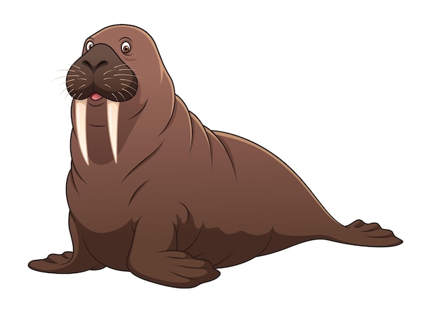 Walrus cartoon dierlijke illustratie