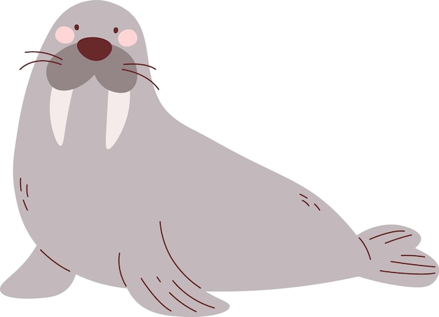 Vector walrus dier icon