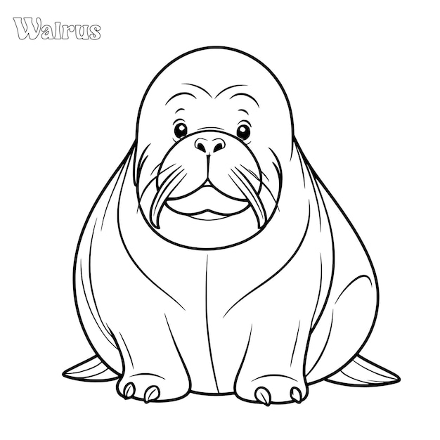 Walrus hand drawn coloring page and outline vector design