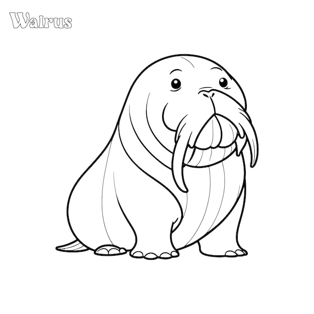 Walrus hand drawn coloring page and outline vector design