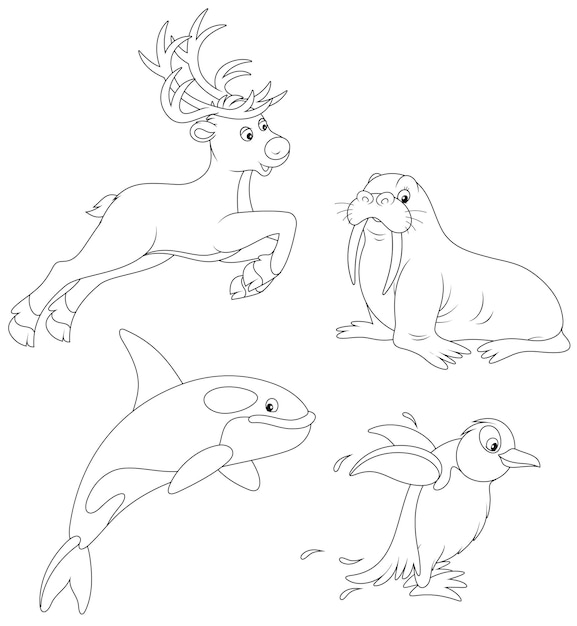 Walrus, killer whale, penguin and reindeer