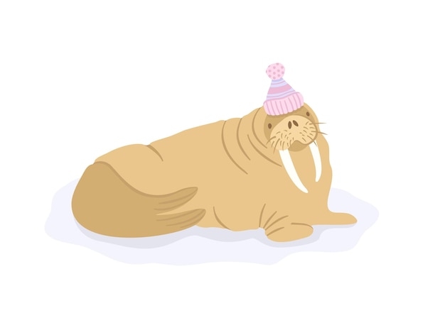 Vector walrus in pompon hat vector cute isolated illustration