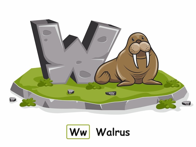 Walrus rock stone alfabet dieren letter w.