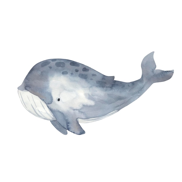 Walvis aquarel illustratie voor kinderen