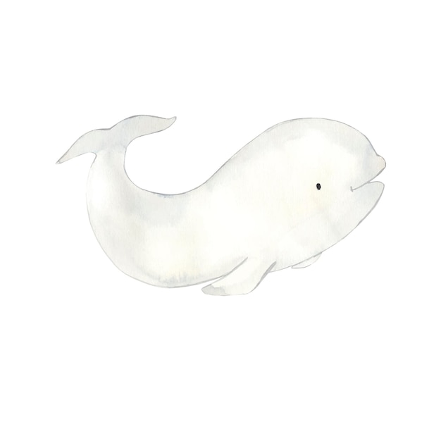 Walvis aquarel illustratie voor kinderen