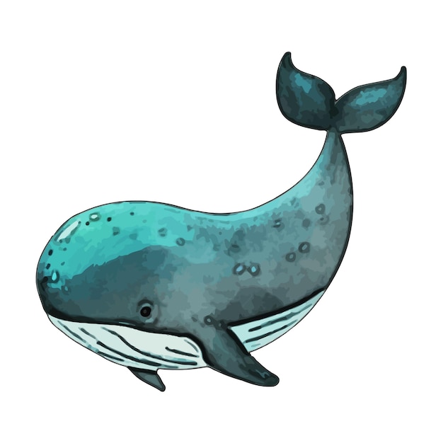 Walvis Aquarel vector illustratie